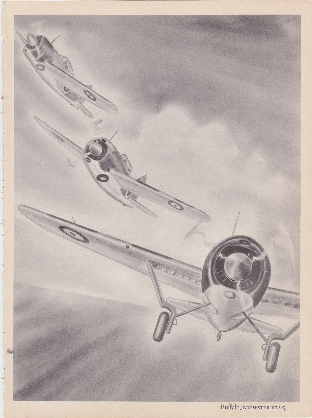 Buffalo Brewster F2A-3 Fighter Planes Military Aircraft Vintage WWII Illustration Print 1944
