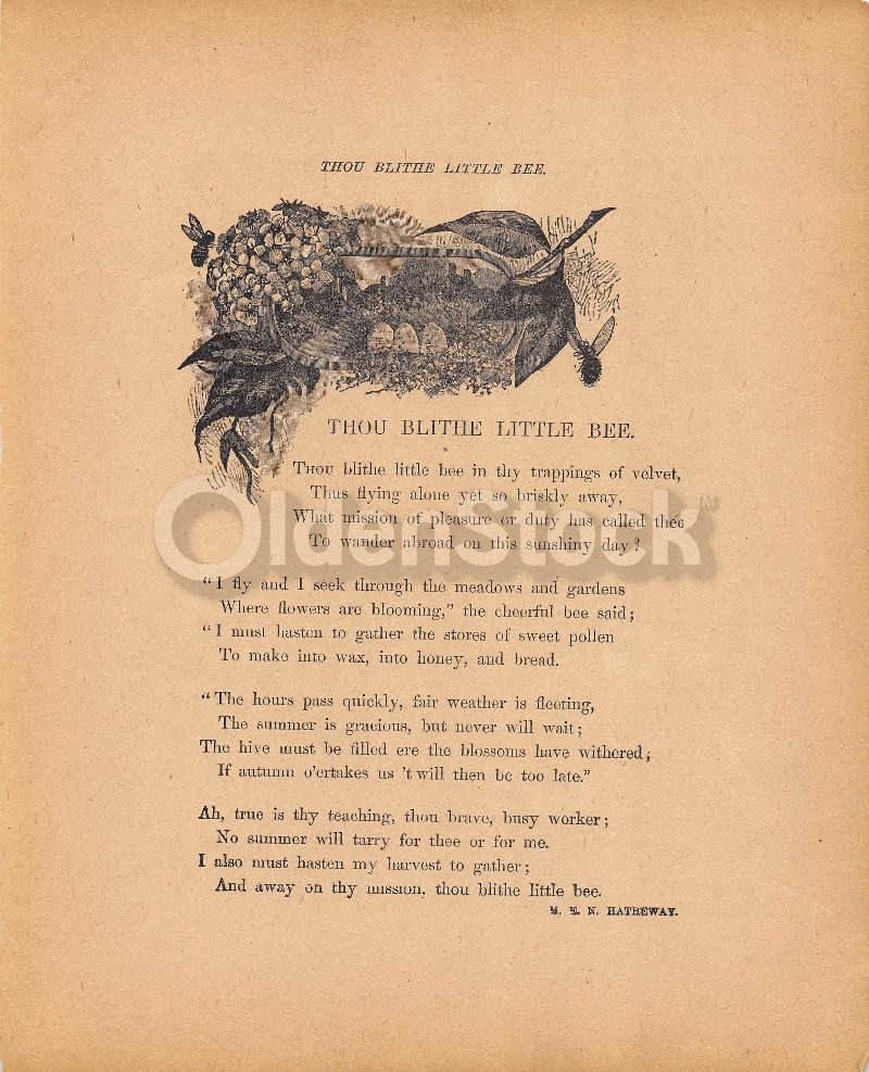 Blithe Little Bee Cute Nature Poem Antique Graphic Illustration Print 1902