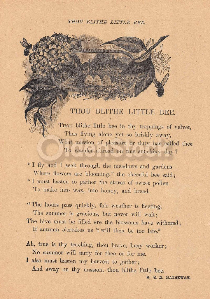 Blithe Little Bee Cute Nature Poem Antique Graphic Illustration Print 1902