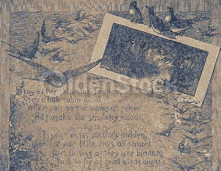 Cute Wildlife Nature Poem 'Stay' Antique Nursery Rhyme Print 1902