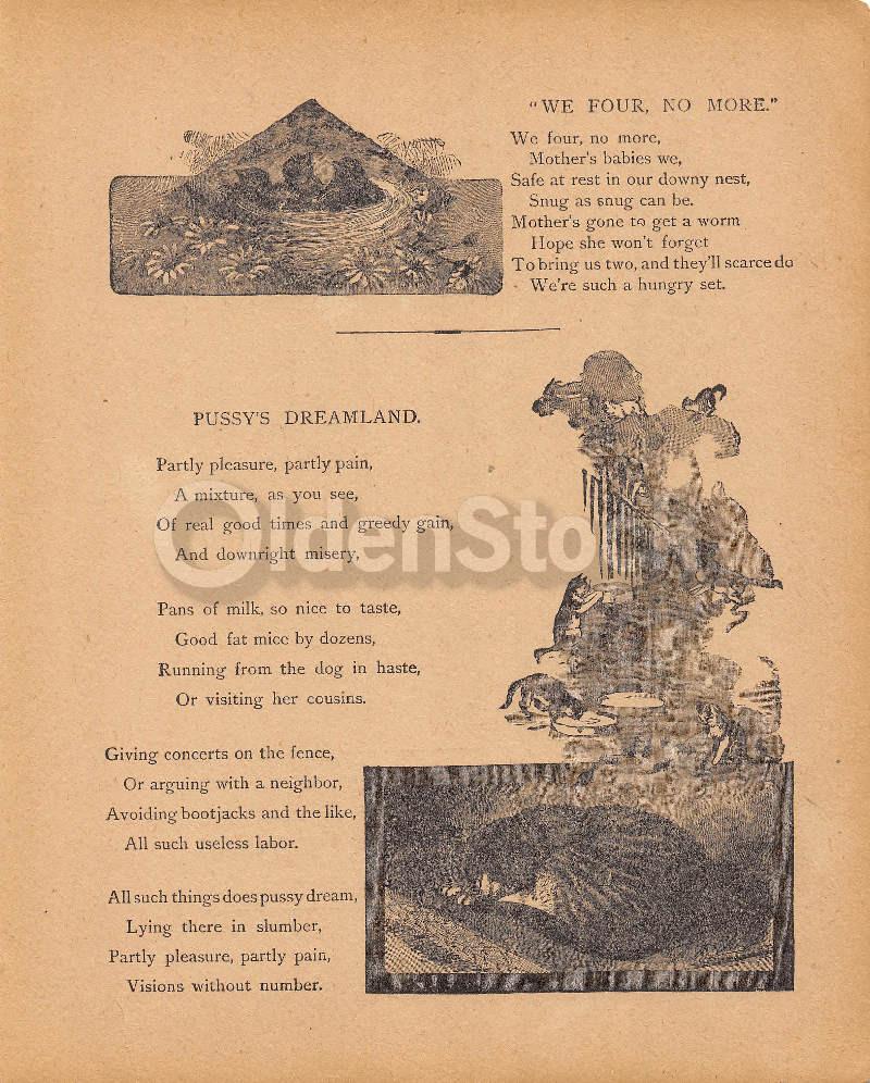 Pussy's Dreamland Cute Cat Poem Antique Nursery Rhyme Print 1902