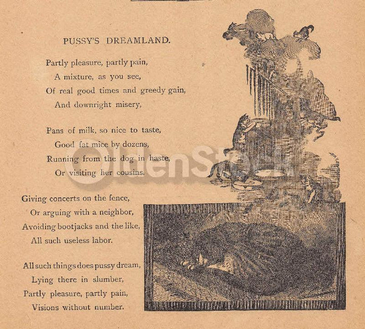 Pussy's Dreamland Cute Cat Poem Antique Nursery Rhyme Print 1902