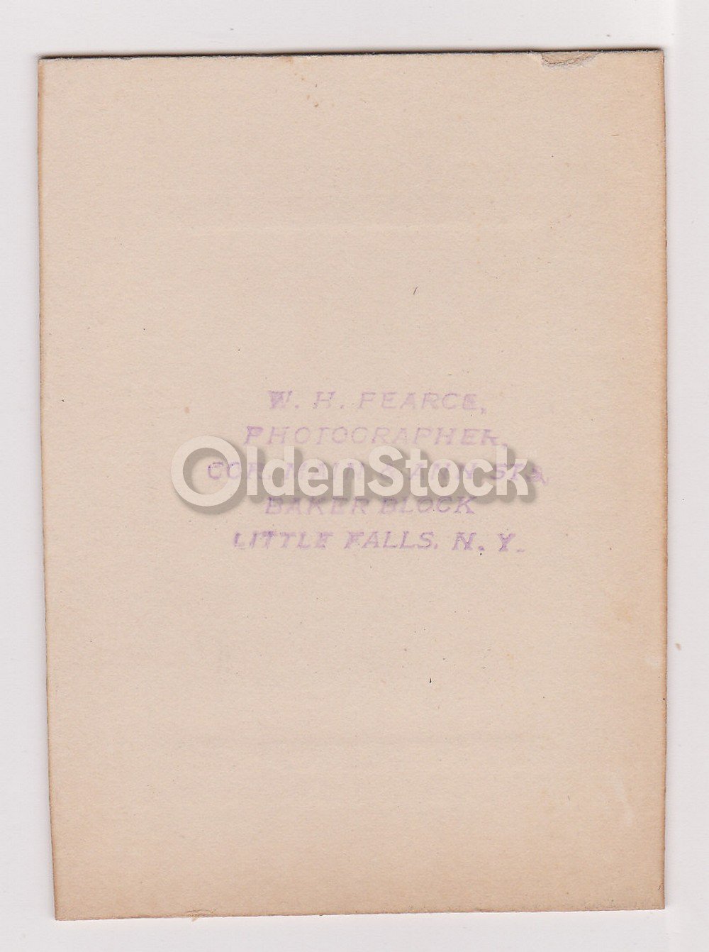 Handsome Jack Russell Terrier Dog Proudly Posed Antique Snapshot Photo on Board