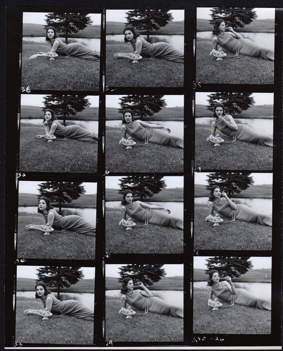 Lovely Brunette Fashion Model Eating Grapes on the Lawn 1960s Photo Contact Sheet