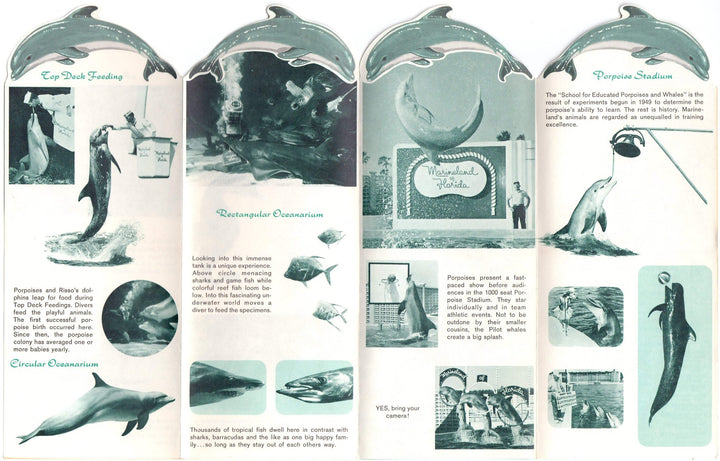 Marineland Florida Aquarium Vintage Dolphin Theme Graphic Advertising Brochure