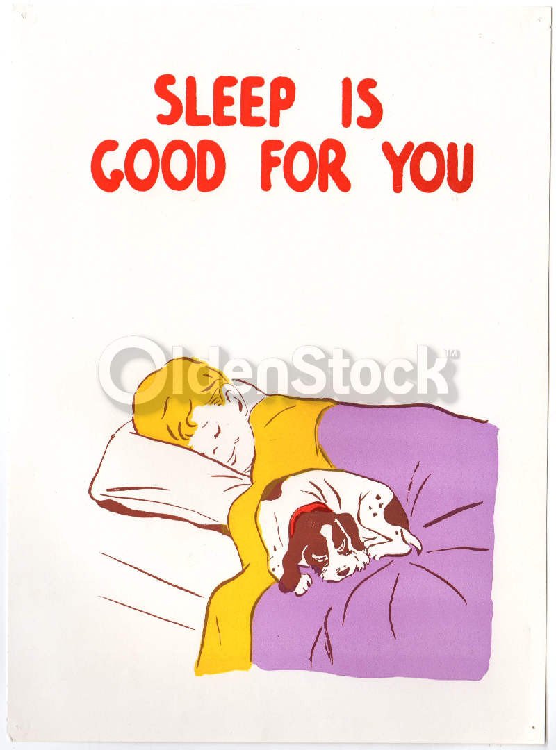 Cute Little Boy Asleep with his Puppy Dog Vintage Health Education Poster