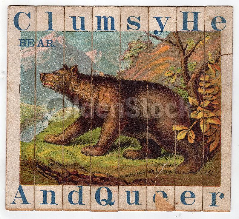 Queer Bear Wild Animal Antique Graphic Art Spelling Game Pieces Wall Art