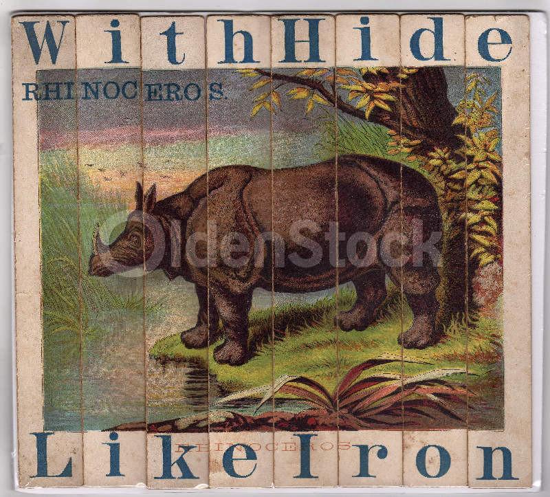 Jungle Rhinoceros Wild Animals Antique Graphic Art Children's Spelling Game Pieces Wall Art