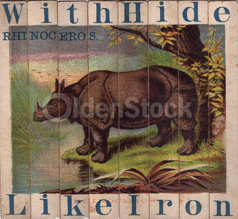 Jungle Rhinoceros Wild Animals Antique Graphic Art Children's Spelling Game Pieces Wall Art