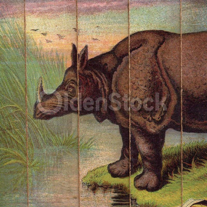 Jungle Rhinoceros Wild Animals Antique Graphic Art Children's Spelling Game Pieces Wall Art