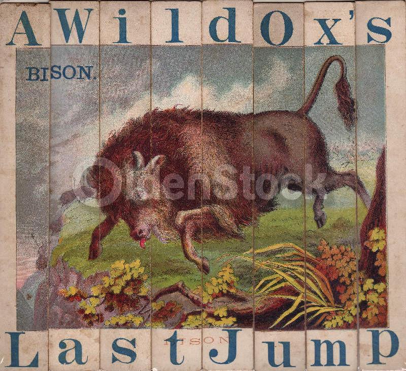 American Buffalo Bison Hunt Wild Animals Antique Graphic Art Children's Spelling Game Pieces Wall Art