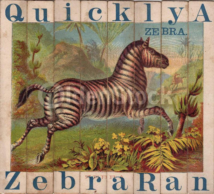 Zebra Wild Animal Antique Graphic Art Children's Spelling Game Pieces Wall Art