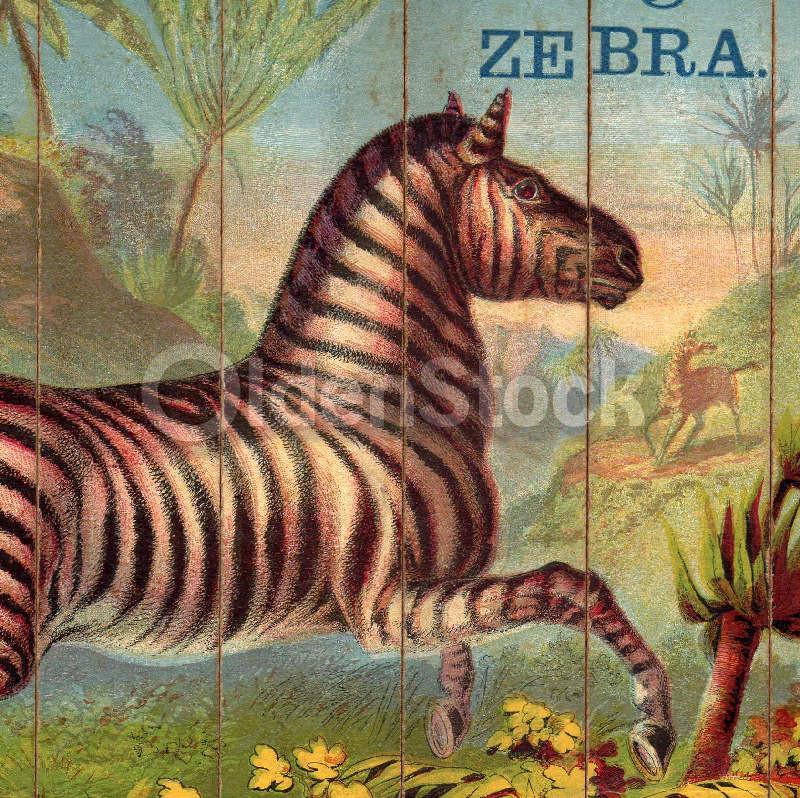 Zebra Wild Animal Antique Graphic Art Children's Spelling Game Pieces Wall Art