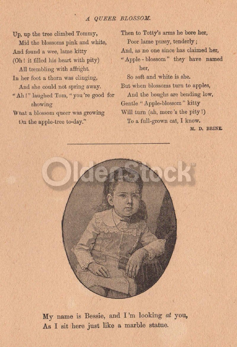 A Queer Blossom Cute Children's Poem Antique Graphic Illustration Print 1902