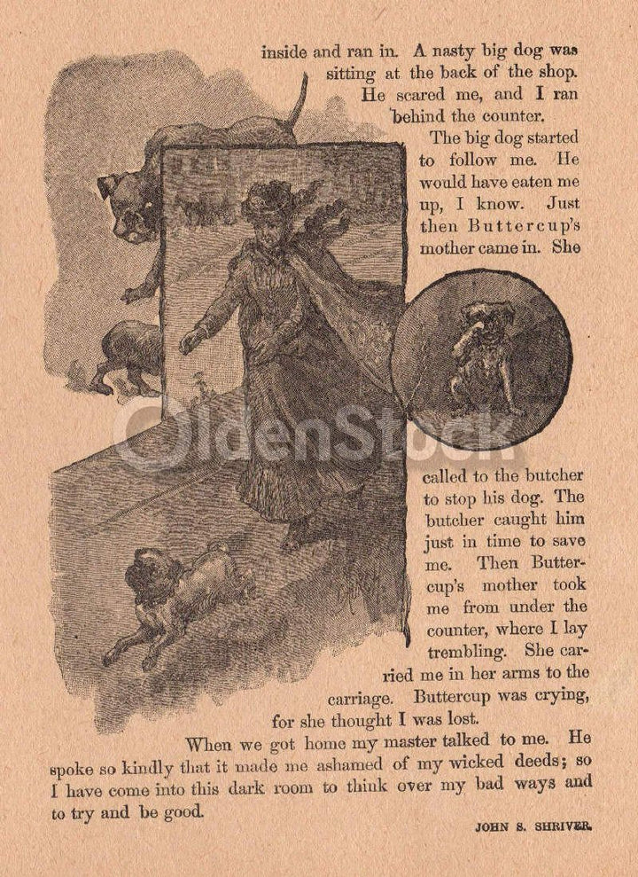 Scamps Ride with Buttercup Cute Dog Poem Antique Graphic Illustration Print 1902