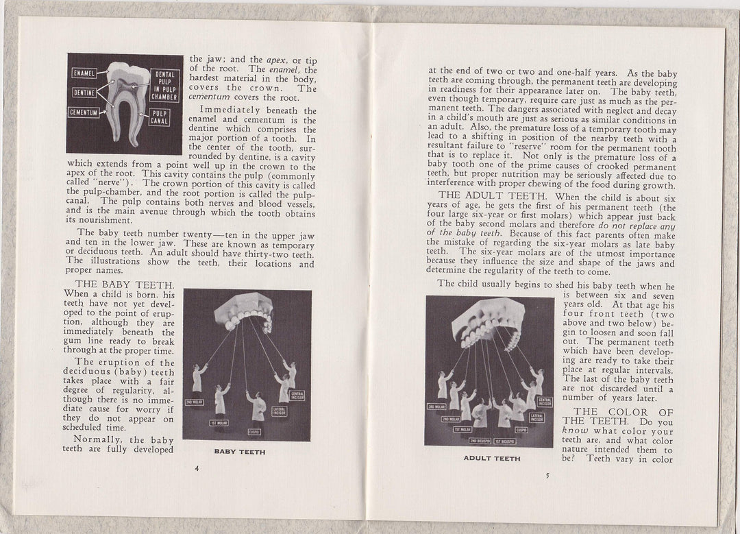 Facts About Tooth Care Vintage Pepsodent Dental Hygiene Advertising Booklet