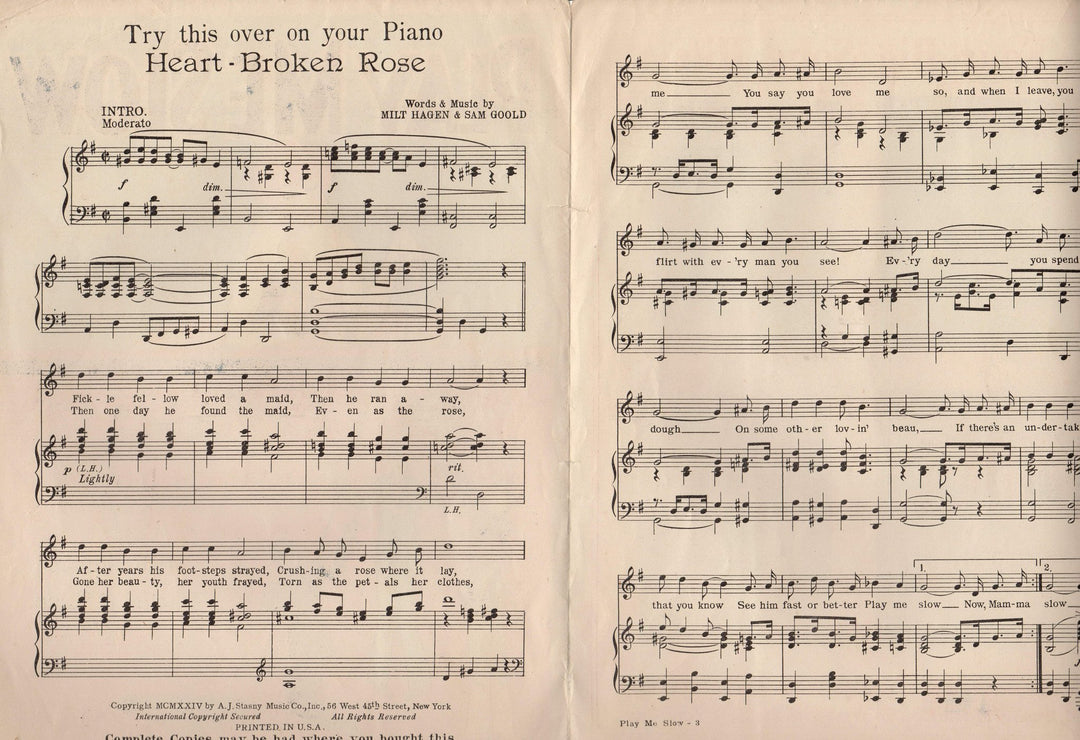 Play Me Slow Heart Broken Rose Antique Art Deco Graphics Sheet Music 1924