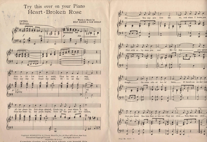 Play Me Slow Heart Broken Rose Antique Art Deco Graphics Sheet Music 1924