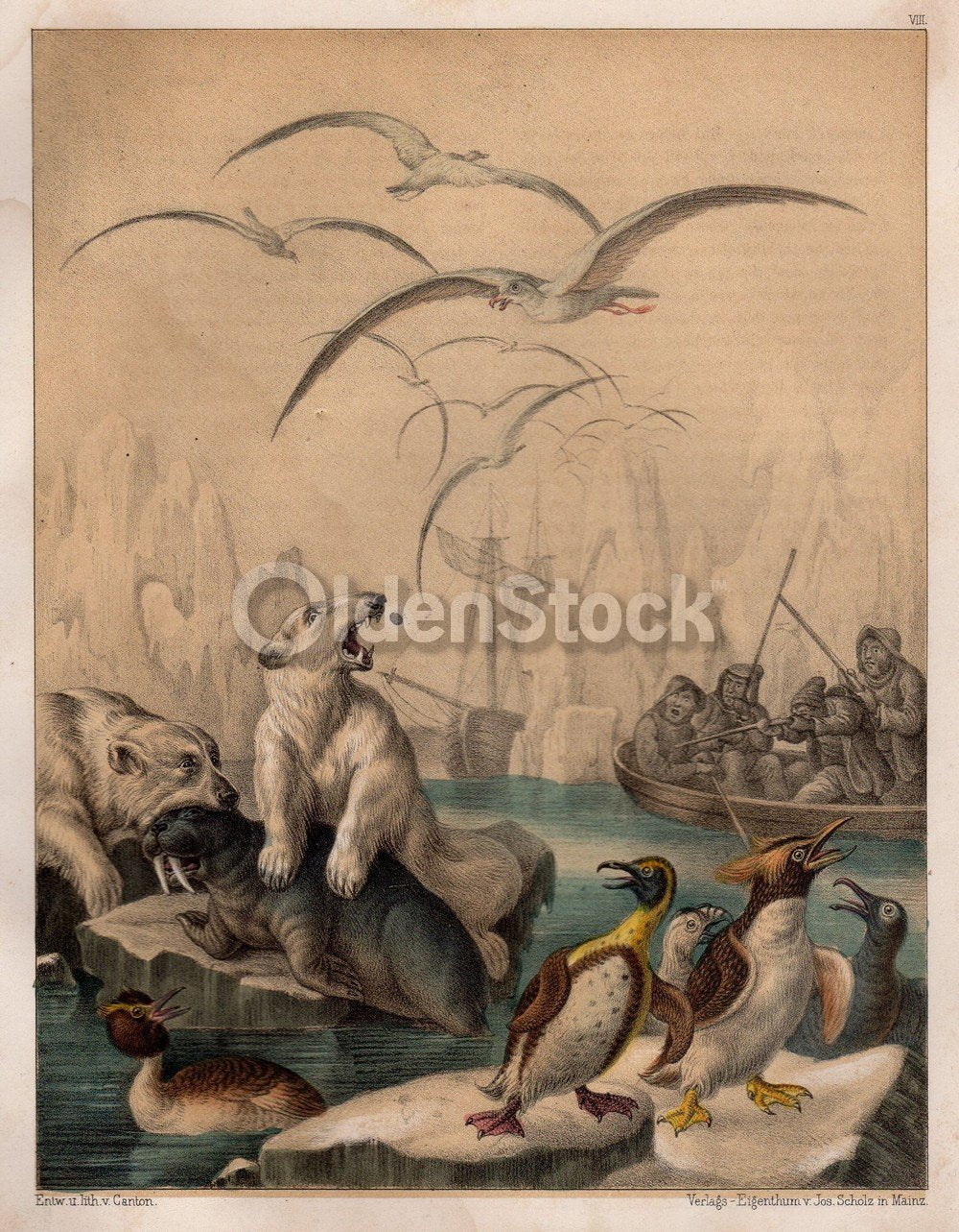 Polar Bear HuPolar Bear Hunters Hunting Seal Penguins Arctic Nature Antique Graphic Art Printnters Hunting Seal & Penguins Arctic Nature Scene Antique Graphic Art Engraving Print 1863