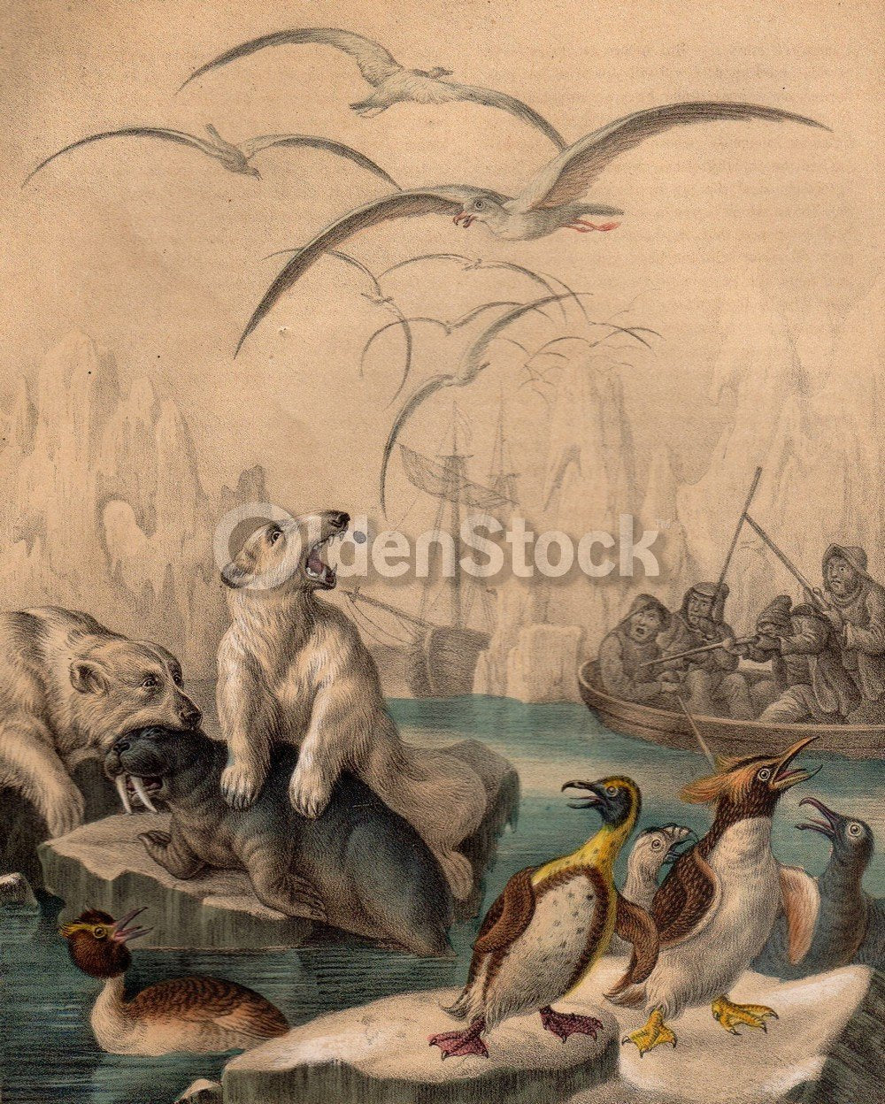 Polar Bear HuPolar Bear Hunters Hunting Seal Penguins Arctic Nature Antique Graphic Art Printnters Hunting Seal & Penguins Arctic Nature Scene Antique Graphic Art Engraving Print 1863
