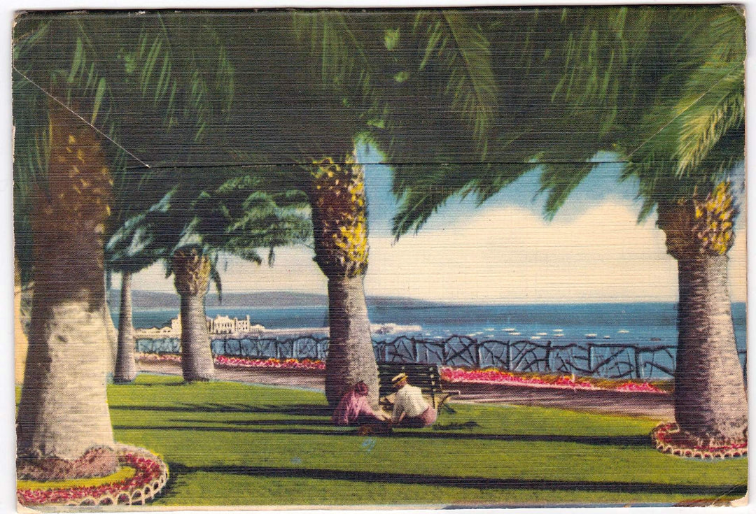 Santa Monica California Vintage Graphic Illustrated Souvenir Postcards Packet