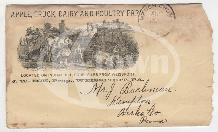 Apple Dairy Poultry Farm Weissport Pa Antique Graphic Advertising Mail Cover