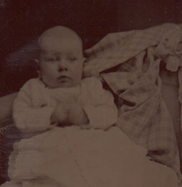 Darling Baby in Gown Crisp Antique Hidden Mother Tintype Photo