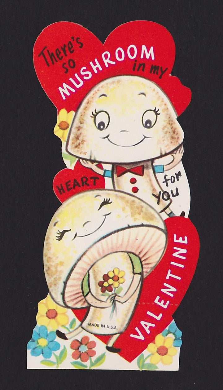 There's So Mushroom In My Heart! Vintage Valentine's Day Greeting Card