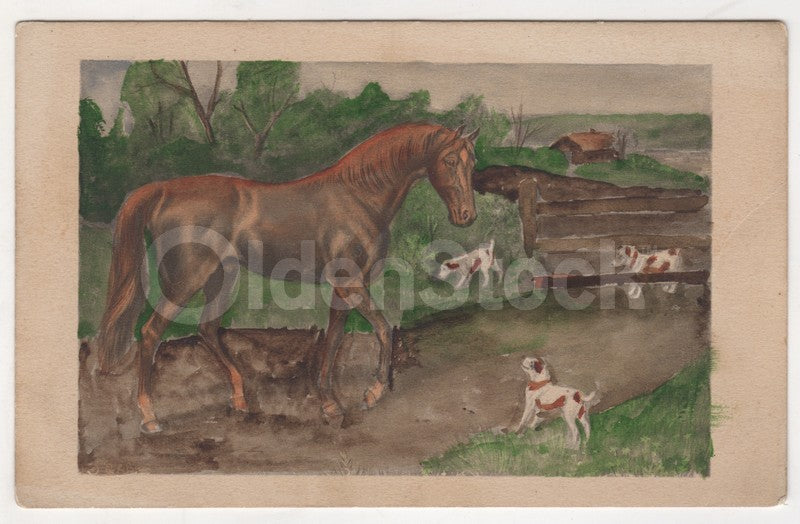 Hand-painted Horse and Dogs Farm Scene Antique Watercolor Postcard 1914