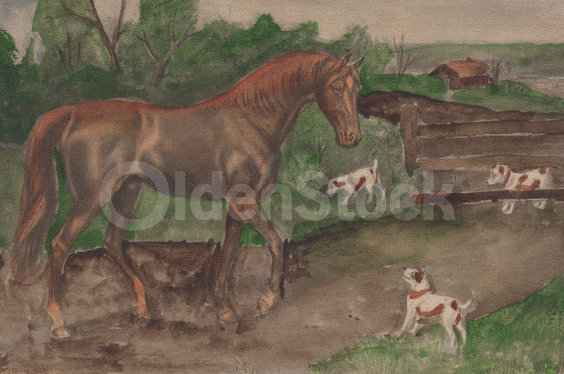 Hand-painted Horse and Dogs Farm Scene Antique Watercolor Postcard 1914