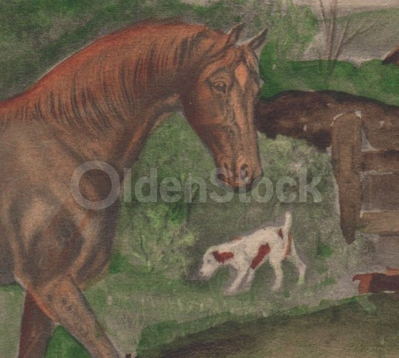 Hand-painted Horse and Dogs Farm Scene Antique Watercolor Postcard 1914