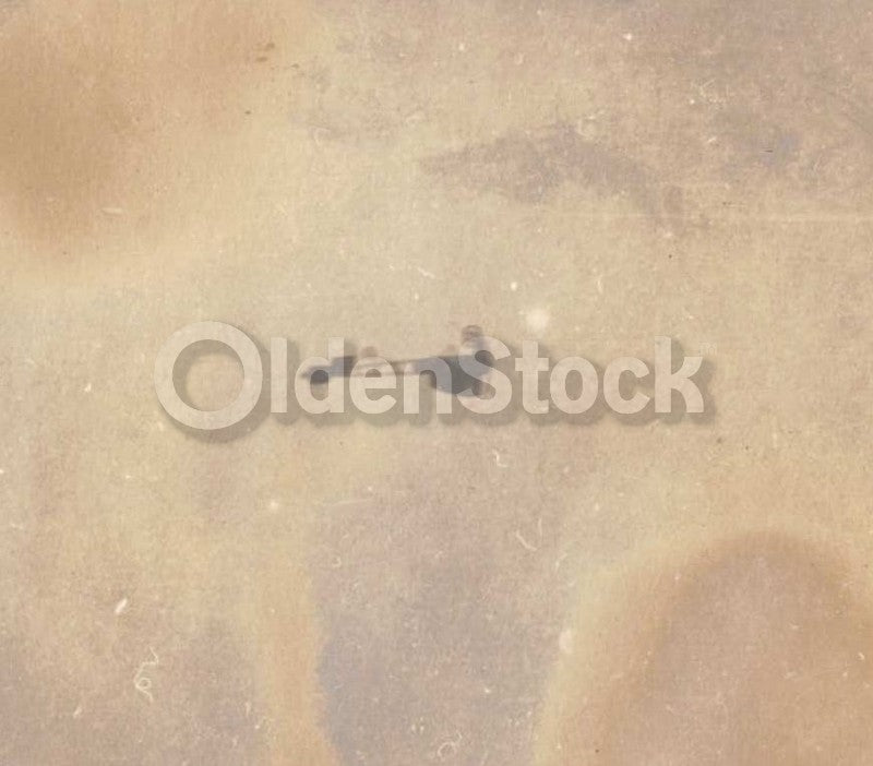 Gordon Bennett Aviation Race 1909 Bleriot XI Curtiss No. 2 Planes Antique Photos