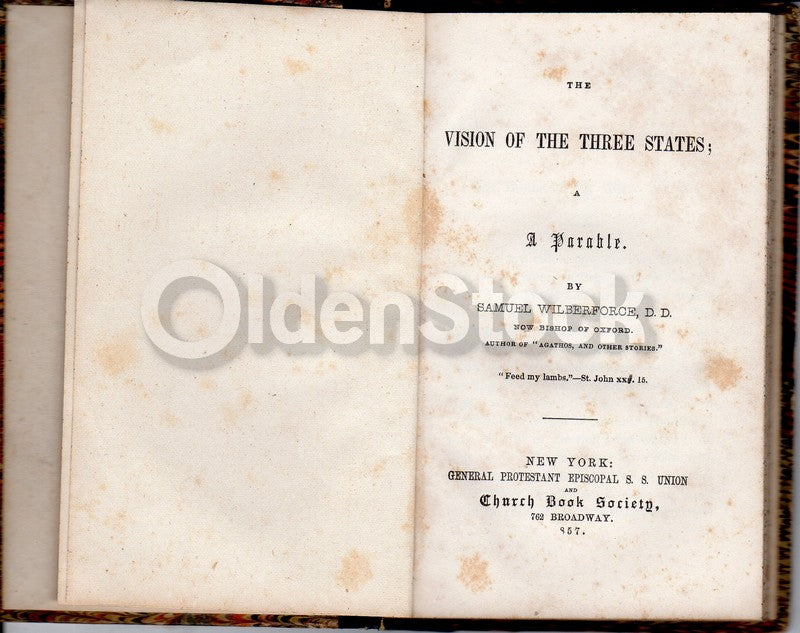 Vision of Three States by Samuel Wilberforce Antique Church Book Society 1857
