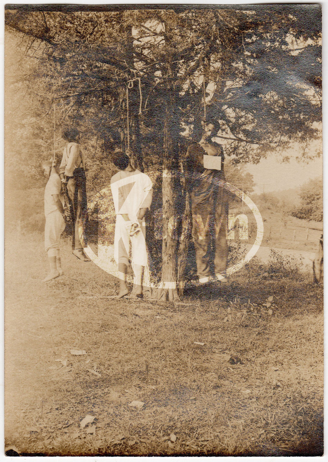 Russelville Kentucky Black Farmers Mob Lynching 1908 Hate Crime Original Antique Photograph - K-townConsignments