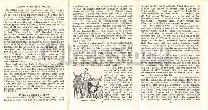 Hope for the Dead Vintage Graphic Jehovah's Witnesses Religious Tract