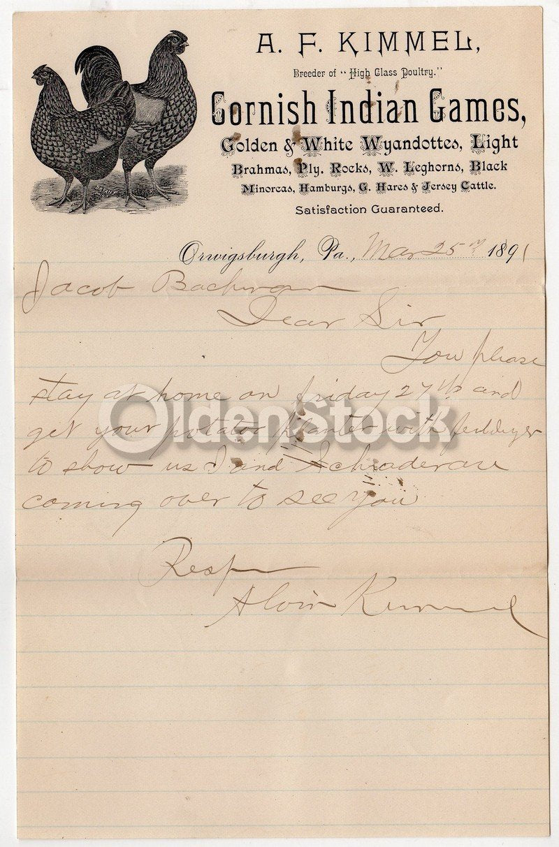 A. F. Kimmel Cornish Indian Game Hens Orwigsburgh PA Antique Autograph Signed Letter