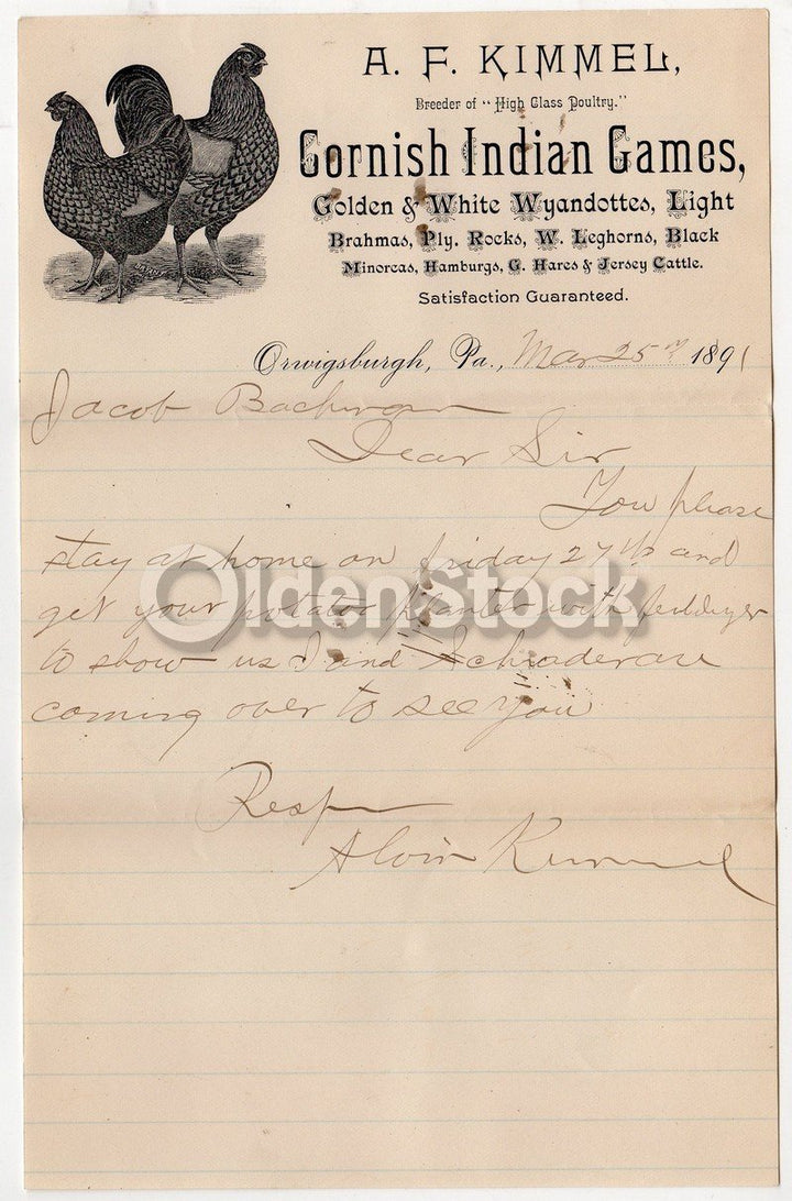 A. F. Kimmel Cornish Indian Game Hens Orwigsburgh PA Antique Autograph Signed Letter