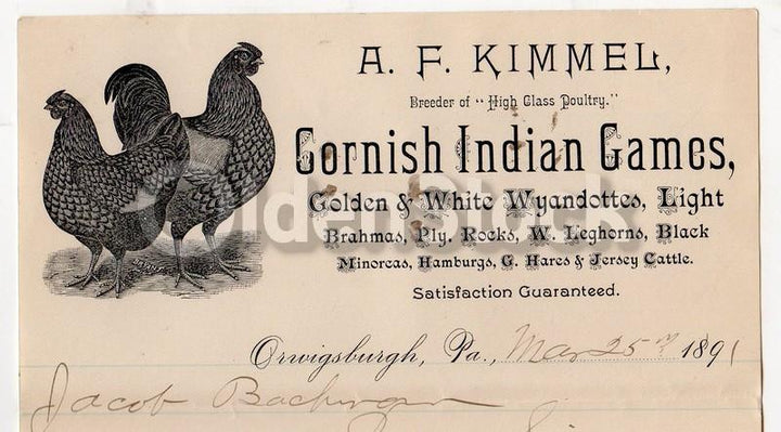 A. F. Kimmel Cornish Indian Game Hens Orwigsburgh PA Antique Autograph Signed Letter