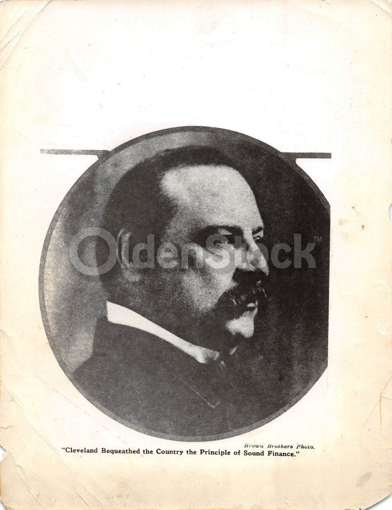 President Grover Cleveland Antique Brown Brothers News Press Photo