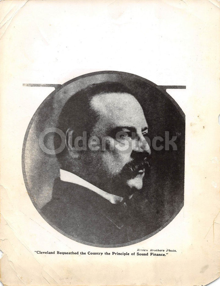 President Grover Cleveland Antique Brown Brothers News Press Photo