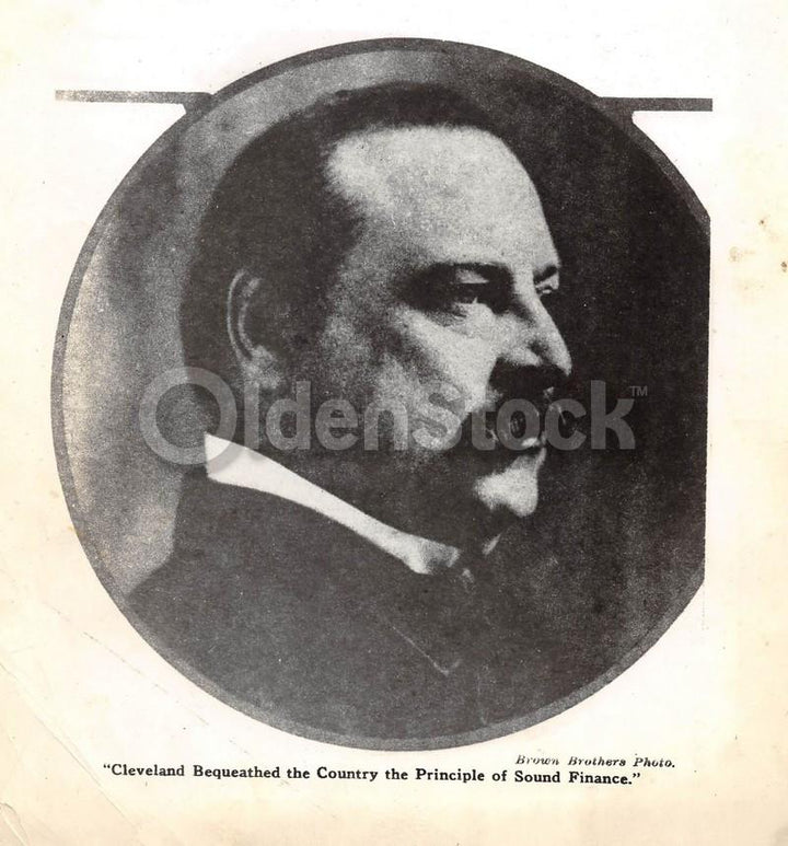 President Grover Cleveland Antique Brown Brothers News Press Photo