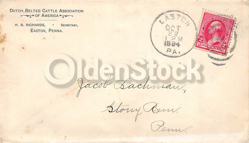 Dutch Belted Cattle Association Antique Autograph Signed Farm Advertising Letter