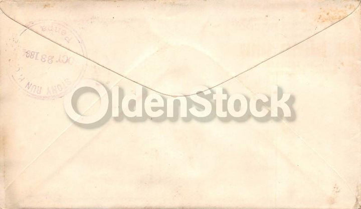 Dutch Belted Cattle Association Antique Autograph Signed Farm Advertising Letter