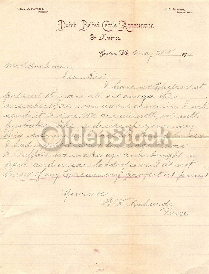 Dutch Belted Cattle Association of America Antique Farm Advertising Letter 1894