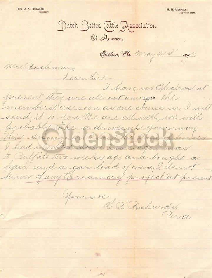 Dutch Belted Cattle Association of America Antique Farm Advertising Letter 1894