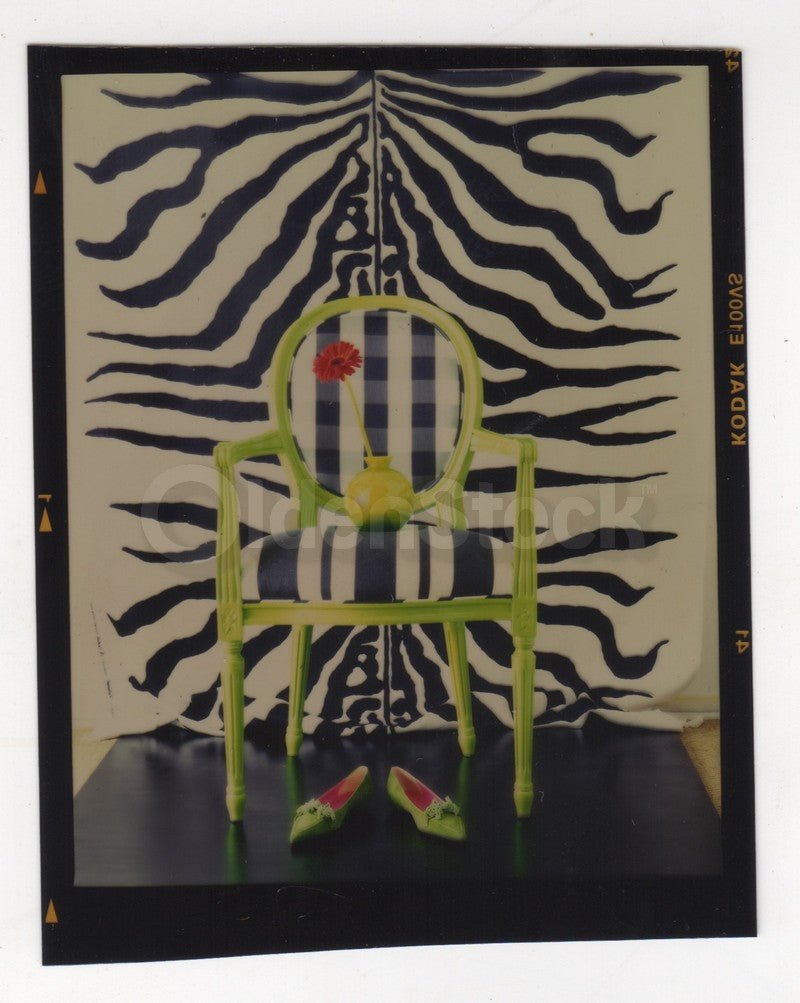 Zebra Print Rug Chair & Green Shoes Original Vintage Fashion Photo Negative