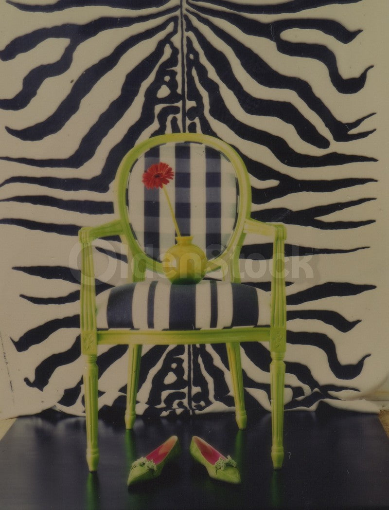 Zebra Print Rug Chair & Green Shoes Original Vintage Fashion Photo Negative