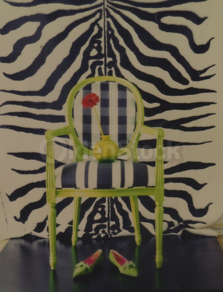 Zebra Print Rug Chair & Green Shoes Original Vintage Fashion Photo Negative