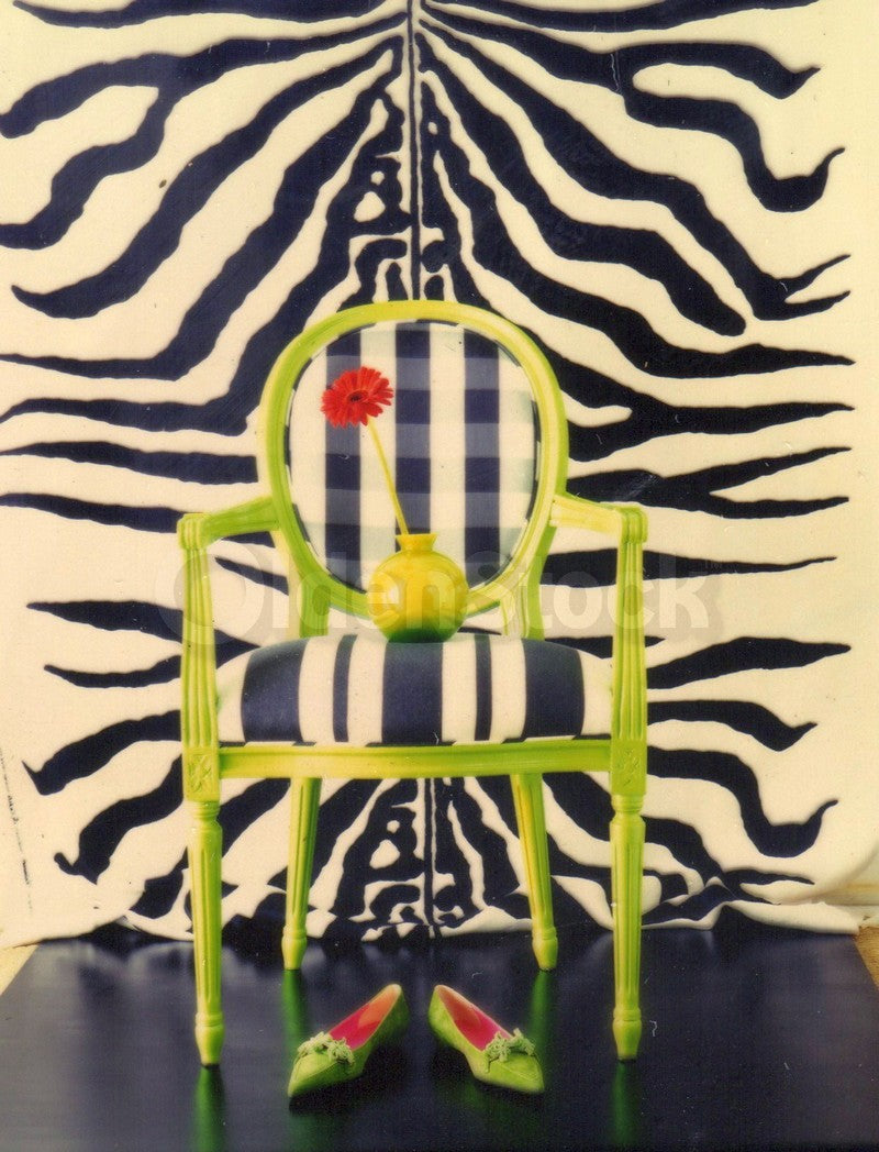 Zebra Print Rug Chair & Green Shoes Original Vintage Fashion Photo Negative