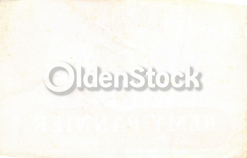 Anjou French Wines Remy Pannier Antique Graphic Advertising Ink Blotter